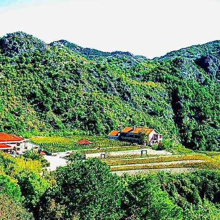 Eco Winery Lipovac Apartments Cetinje Dış mekan fotoğraf